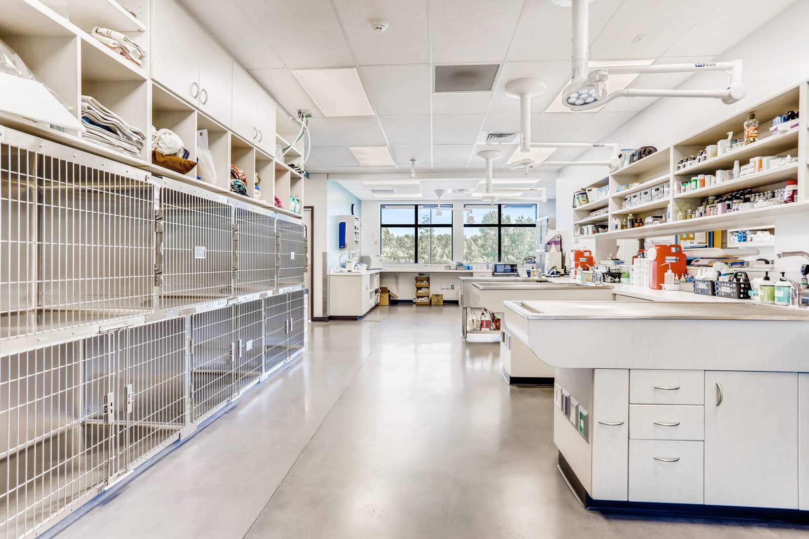 Business loans and working capital finance for veterinary clinics
